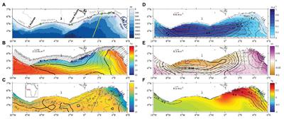 Coastal Upwelling Limitation by Onshore Geostrophic Flow in the Gulf of Guinea Around the Niger River Plume